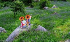李建国|云上花瑶印象