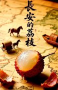 曾庆文|当规则挑战规律